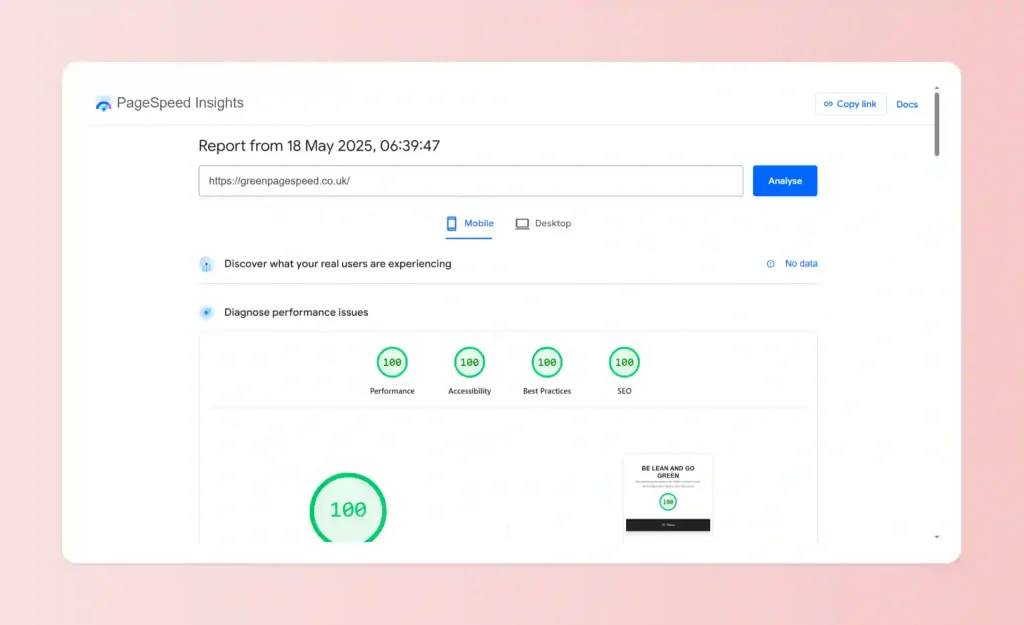 More page speed insights proof for Be Lean and Go Green, the website. 100 maximum for all 4 metrics