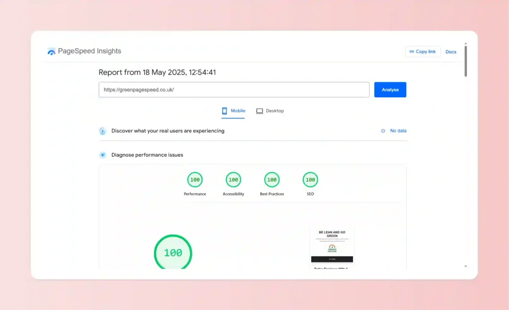 More page speed insights proff for Be Lean and Go Green, the website. 100 maximum for all 4 metrics