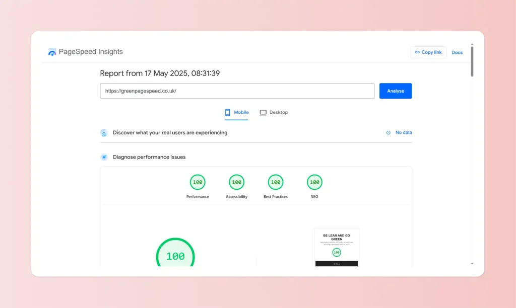 More page speed insights proff for Be Lean and Go Green, the website. 100 maximum for all 4 metrics