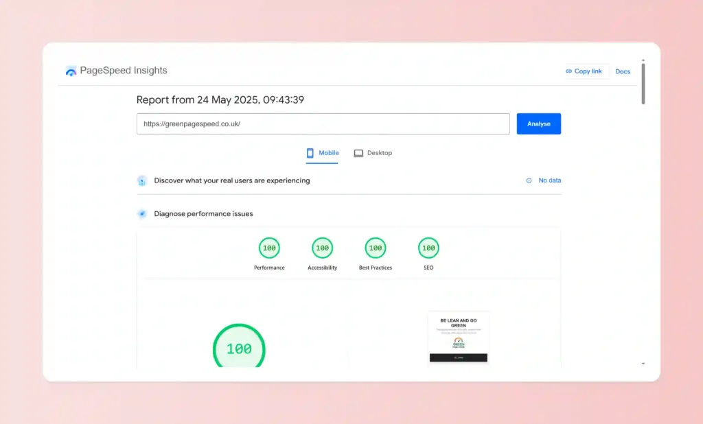 An image showing a pagespeed score of the maximum 100/100 using PageSpeed Insights.