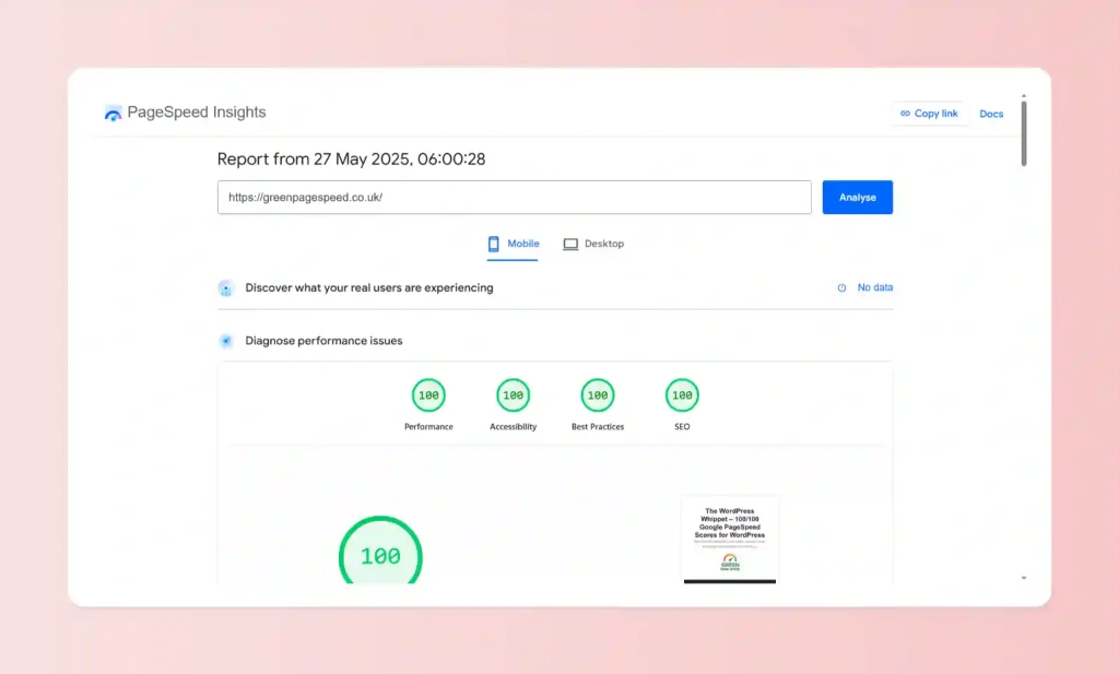 An image showing a pagespeed score of the maximum 100/100 using Page Speed Insights. shown on the website, The WordPress Whippets, on the page Google pagespeed Insights