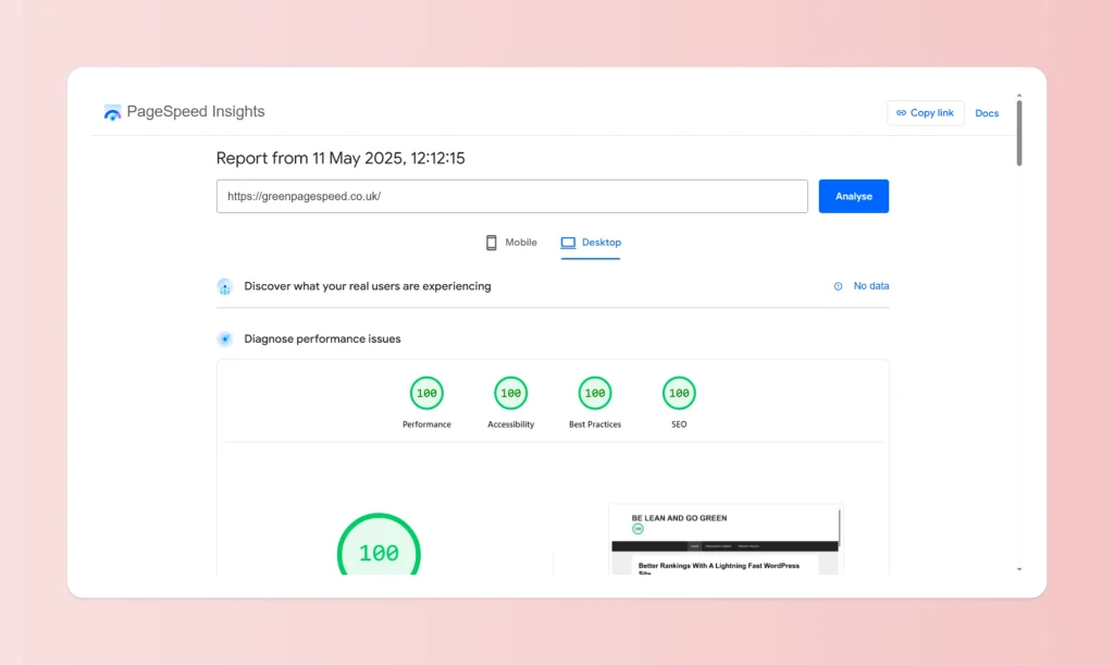 The image shows a perfect PSI score set-up of 100/100 on the page The WordPress whippets
