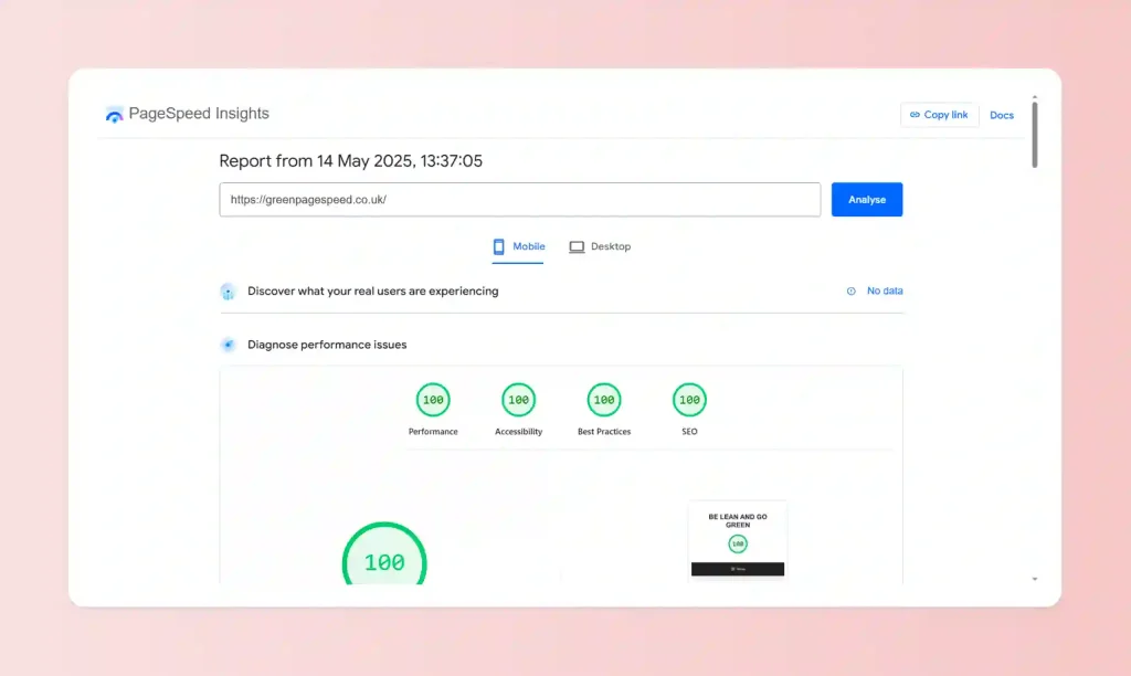 An image of a 100% page speed in the Page Speed Insights Tool.