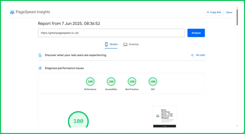 A picture showing 100/100 across all metrics on PageSpeed Insights