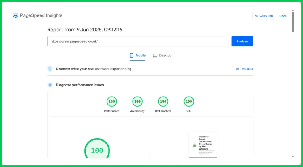A picture of the perfect page speed scores of 100/100 on Green Page Speed