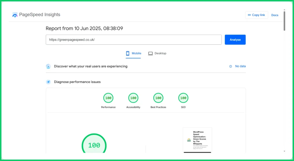 A picture of the perfect page speed scores of 100/100 on Green Page Speed