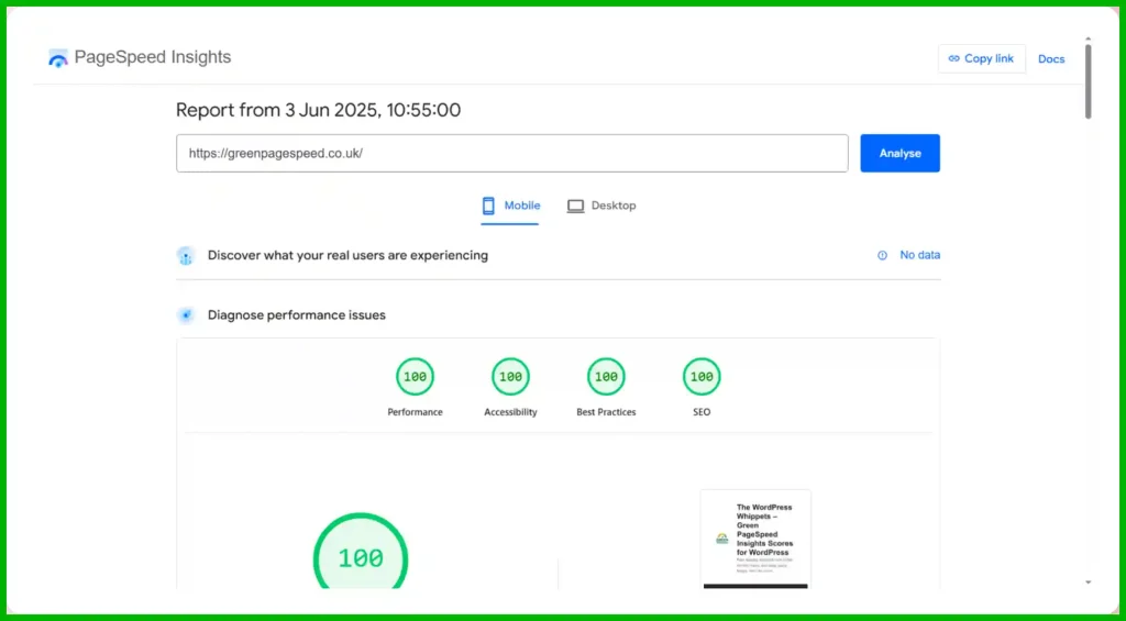 The PSI scores of a perfect 100/100 for all 4 metrics on the page, Google PageSpeed Insights