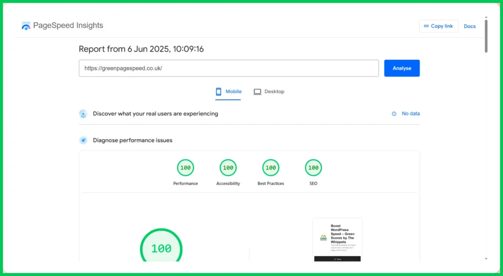 A picture of the perfect 100/100 PageSpeed Insights WordPress Site speed scores.