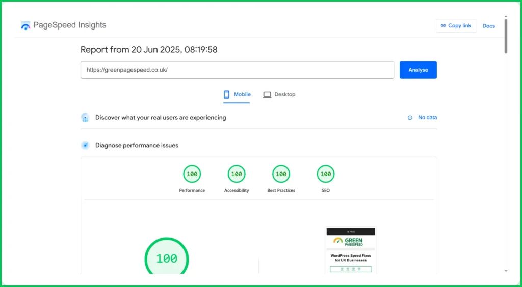 A set of perfect 1--/100 scores for the website https://greenpagespeed.co.uk