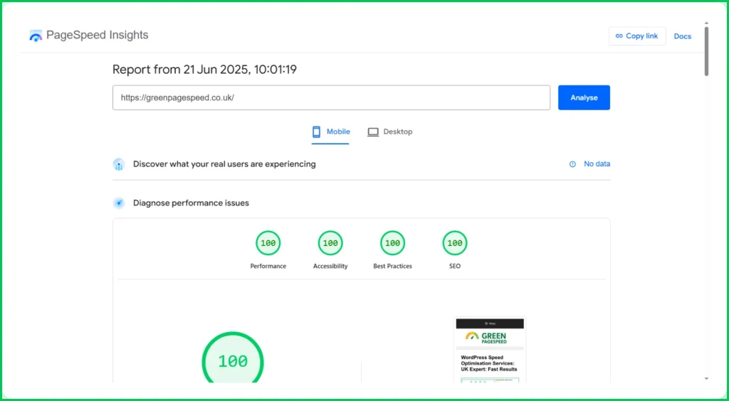 A perfect set of scores from PageSpeed Insights of 100/100 shown on the website https://greenpagespeed.co.uk