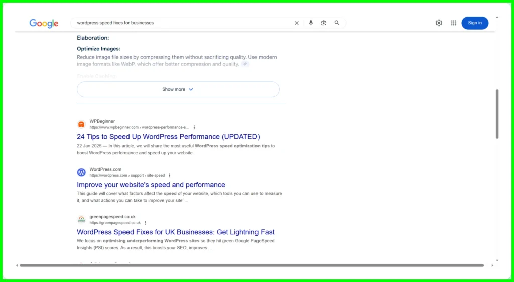Another top 3 ranking for a valuable keyword. WordPress Speed Fixes For Businesses.