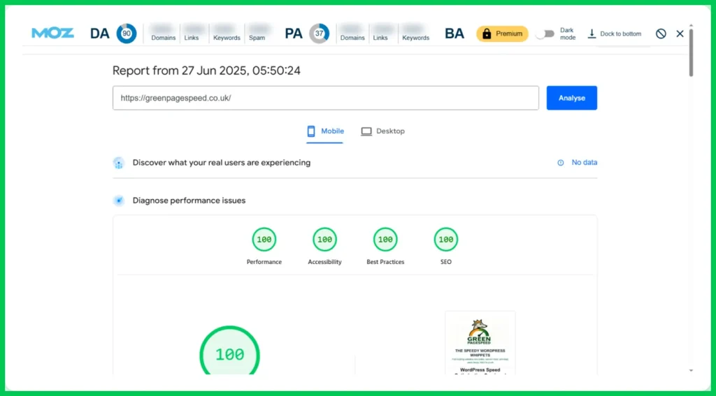 Our 100/100 PageSpeed Insights scores for https://greenpagespeed.co.uk