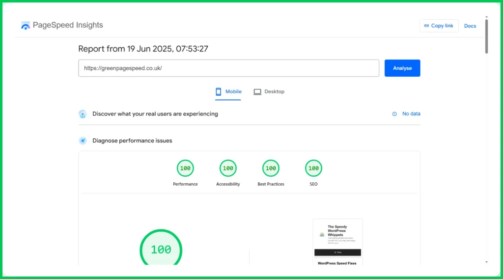 A brilliant set of scores. They are 100/100 across the board for the website greenpagespeed