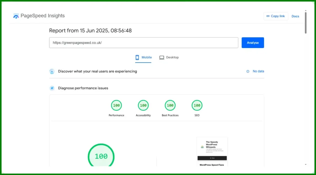 A picture proving we get 100/100 on greenpagespeed.co.uk