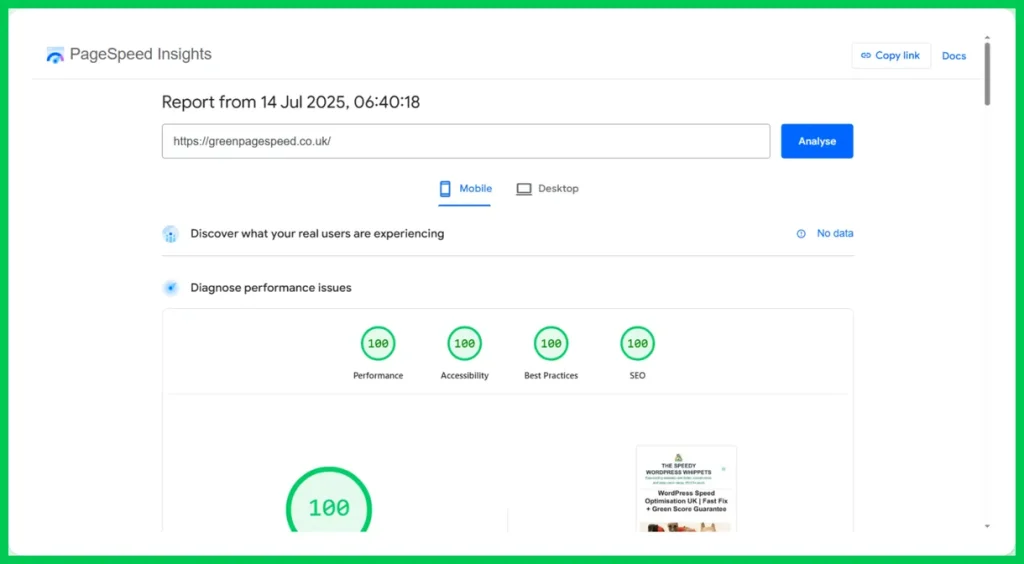 Another set of perfect scores of 100. They are on the page Green PageSpeed