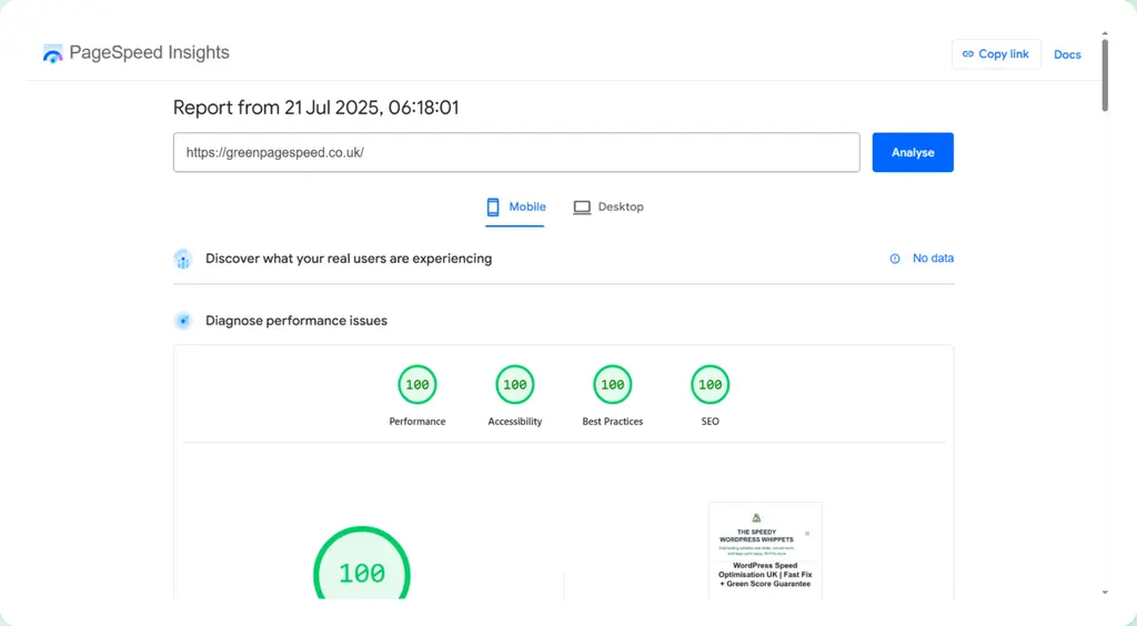 An image of perfect score for our website https:greenpagespeed.co.uk on the page Google PageSpeed Insights
