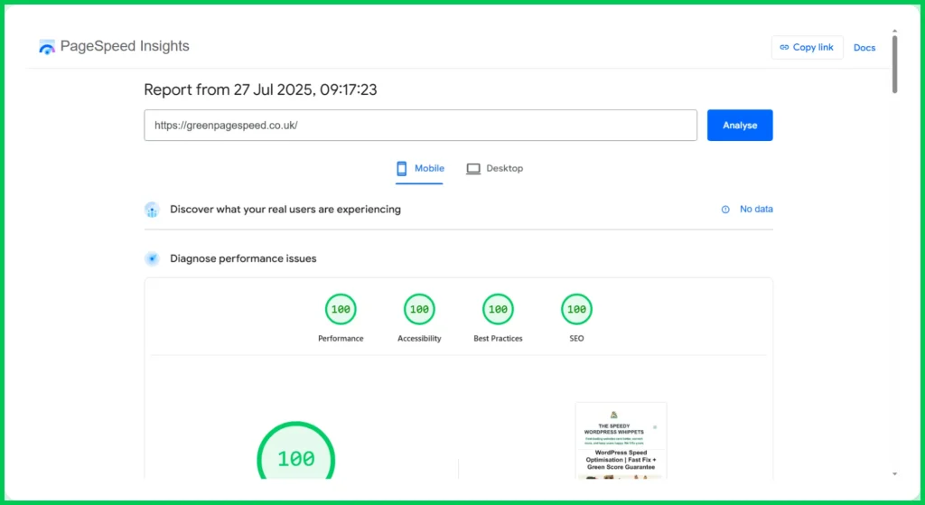 Perfect scores using google PageSpeed Insights of 100/100