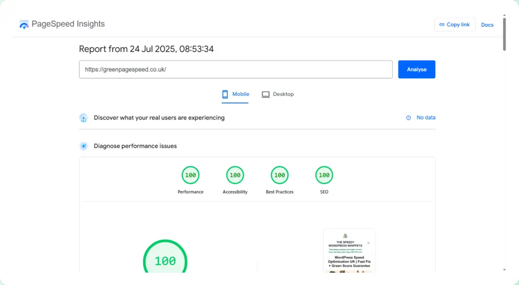 The usual daily proof of the maximum scores on Green Page Speed the website.