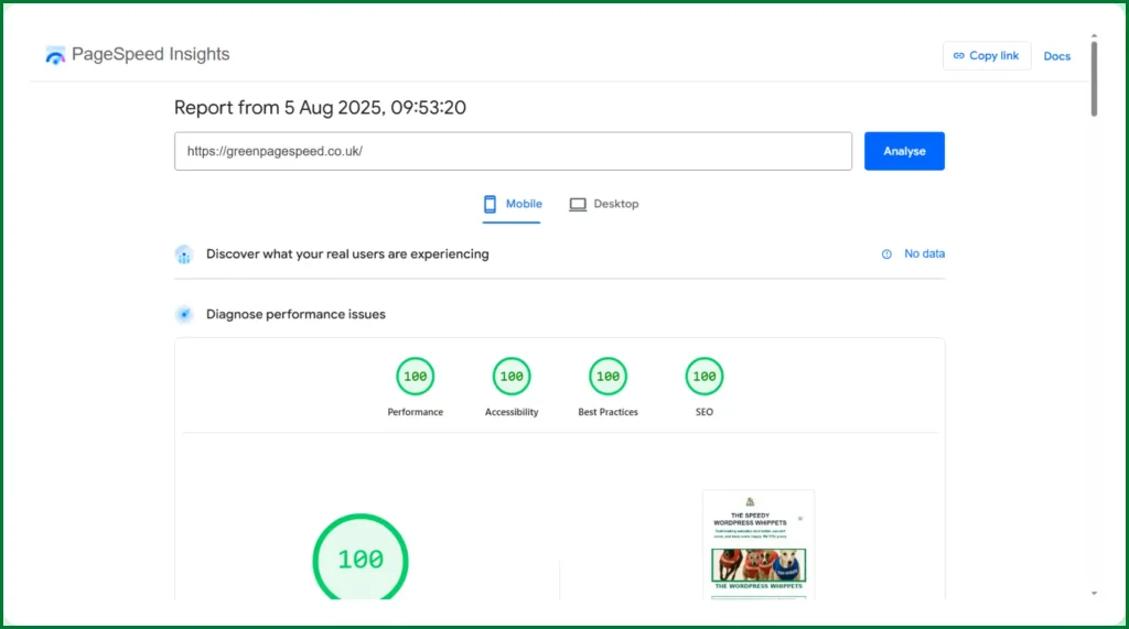 Some perfect scores of the https://greenpagespeed.co.uk website