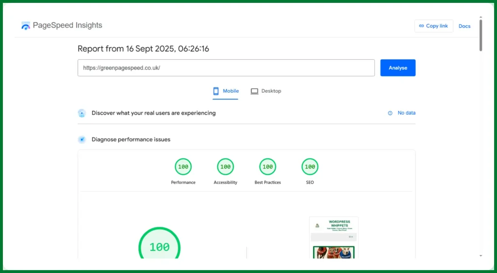 16 Sept 2025 Google PageSpeed Insights 100/100 score proof