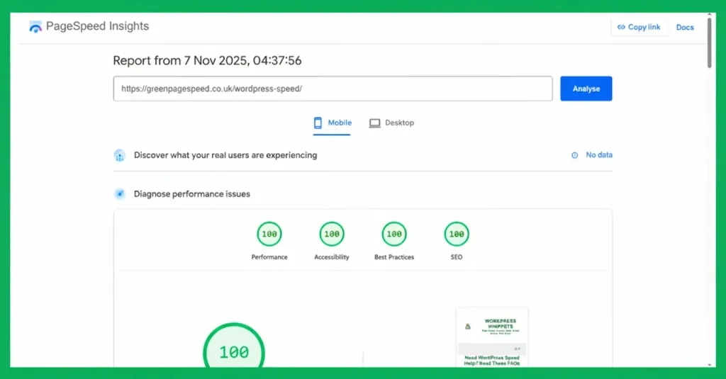07/11/25 - Mobile PageSpeed Insights test confirming perfect 100/100 results across performance, accessibility, best practices, and SEO categories.