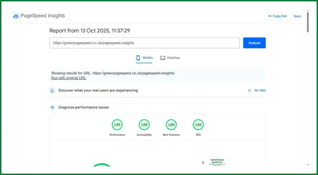 13/10/25 PageSpeed Insights test showing Green Page Speed’s PageSpeed Insights page scoring 100/100 for Performance, Accessibility, Best Practices, and SEO on mobile.