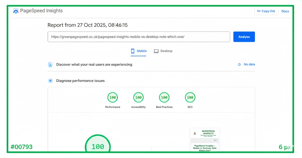 27/10/25 Green PageSpeed Insights proof showing 100/100 scores across Performance, Accessibility, Best Practices, and SEO.