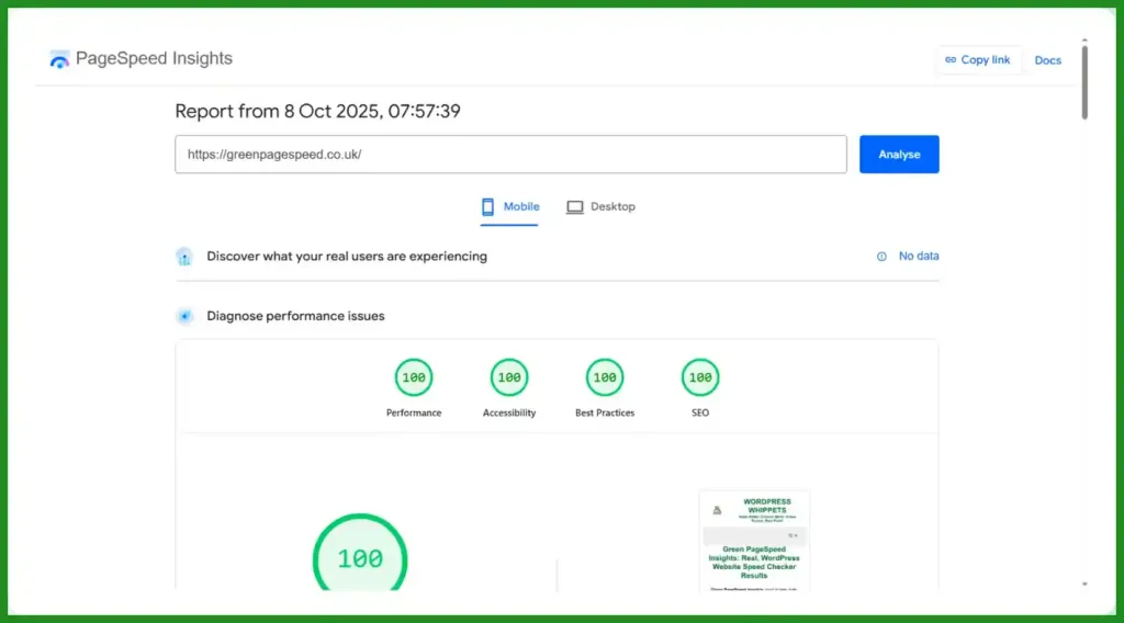 08/10/25 Google PageSpeed Insights test result showing 100/100 scores across all categories site-wide for Green Page Speed.