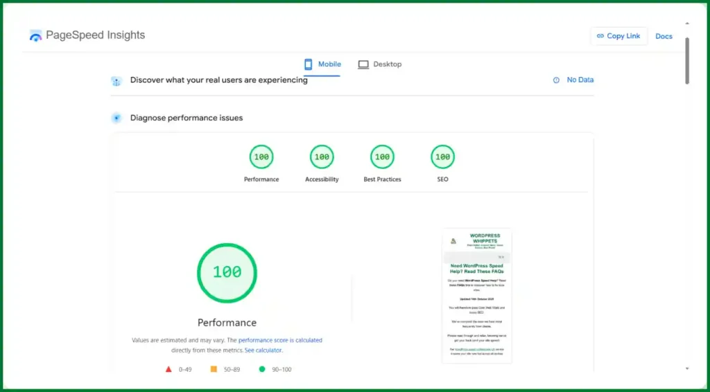 15/10/25 - Green PageSpeed mobile test showing perfect 100 scores for Performance, Accessibility, Best Practices, and SEO.