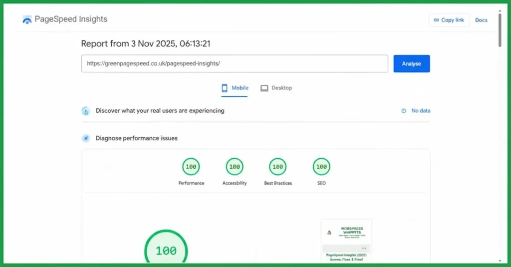 03/11/25 - Green PageSpeed Insights mobile report showing perfect 100/100 scores for performance, accessibility, best practices, and SEO.