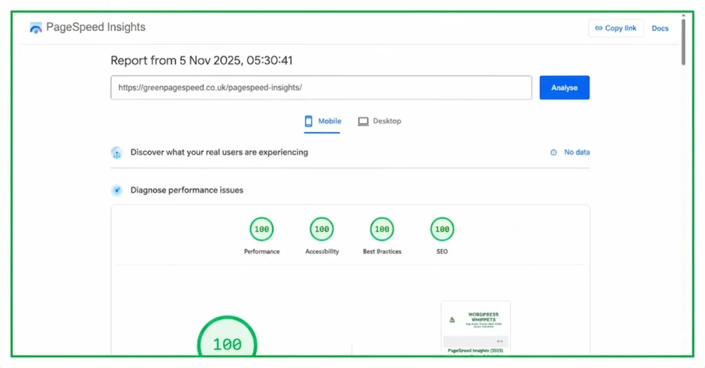 05/11/2025 - Green PageSpeed Insights mobile test shows perfect 100/100 results for Performance, Accessibility, Best Practices, and SEO.