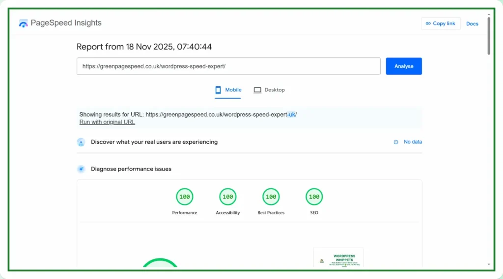 18/11/25 Mobile PageSpeed Insights proof showing perfect 100 scores across performance, accessibility, best practices and SEO for a Green PageSpeed optimised WordPress site.