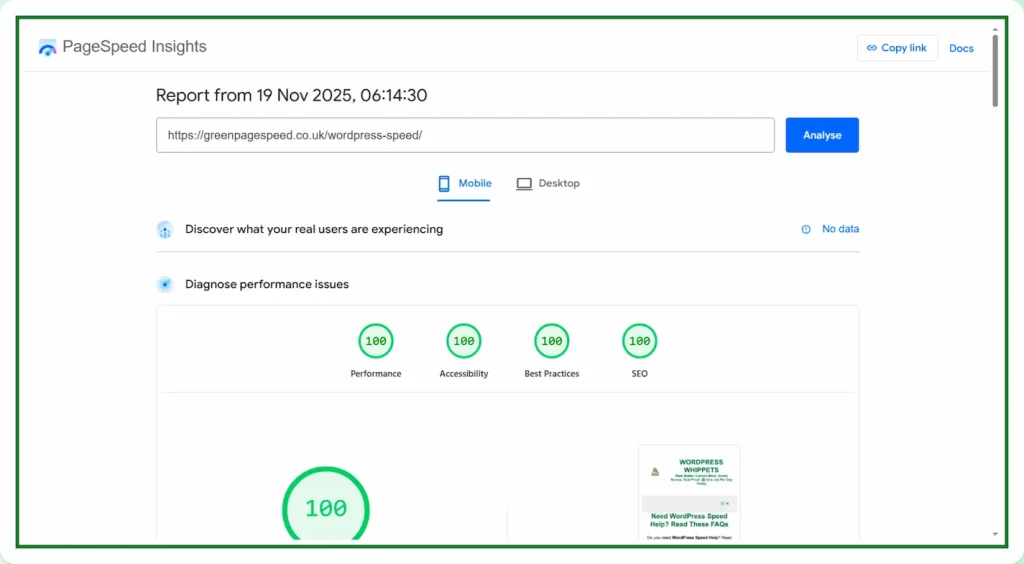 19/11/25 Mobile PageSpeed Insights test showing 100 scores across Performance, Accessibility, Best Practices and SEO for greenpagespeed.co.uk.
