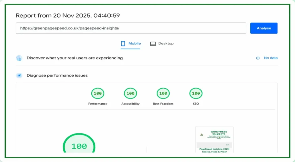 20/11/25 PageSpeed Insights mobile test showing greenpagespeed.co.uk scoring 100 for performance, accessibility, best practices and SEO.