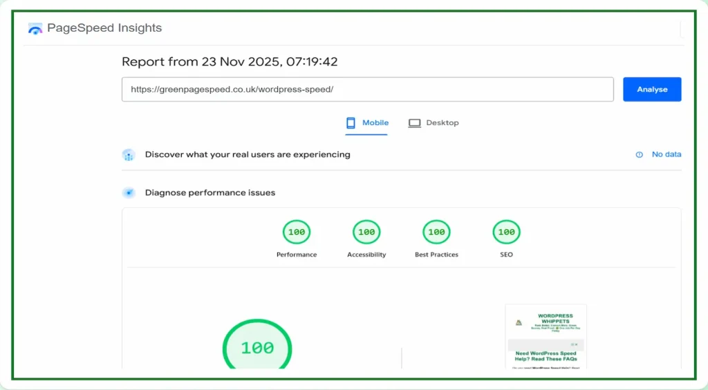 23/11/25 - Mobile PageSpeed Insights result showing Green PageSpeed with full 100 scores across all categories.