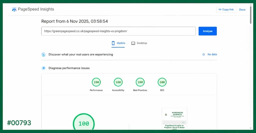 06/11/2025 - Green PageSpeed Insights mobile test shows perfect 100/100 results for Performance, Accessibility, Best Practices, and SEO.