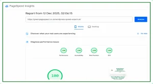 12/12/25 mobile PSI score sheet showing 100s across performance, accessibility, best practices and SEO for the WordPress Speed Expert UK service page