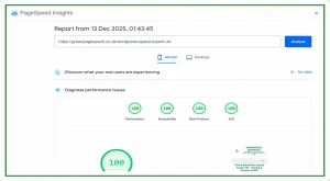 13/12/25 Mobile PageSpeed Insights test for WordPress Speed Expert UK page showing perfect 100 scores for Performance, Accessibility, Best Practices, and SEO on Green PageSpeed.