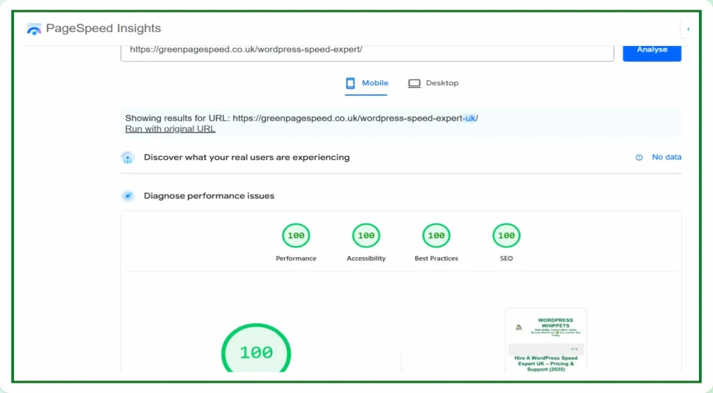 15/12/25 Google PageSpeed Insights mobile test for WordPress Speed Expert UK page showing 100 scores for Performance, Accessibility, Best Practices and SEO.