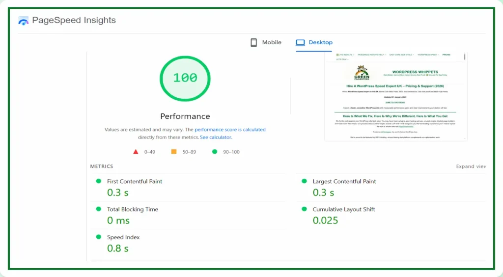 03/01/26 Green PageSpeed Insights desktop performance score showing 100 with fast metrics including 0.3s LCP, 0ms total blocking time, 0.8s speed index and low cumulative layout shift.