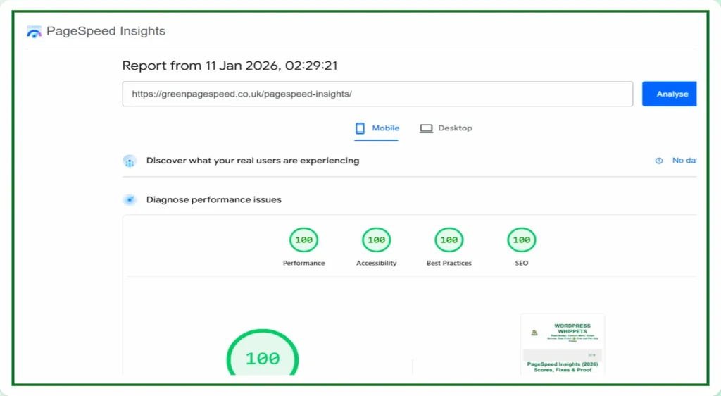 11/01/26 Google PageSpeed Insights mobile results showing a perfect 100/100 score across performance, accessibility, best practices and SEO on Green PageSpeed.