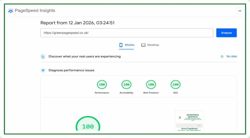 12/01/26 Green PageSpeed Insights mobile performance test showing perfect 100 scores across Performance Accessibility Best Practices and SEO