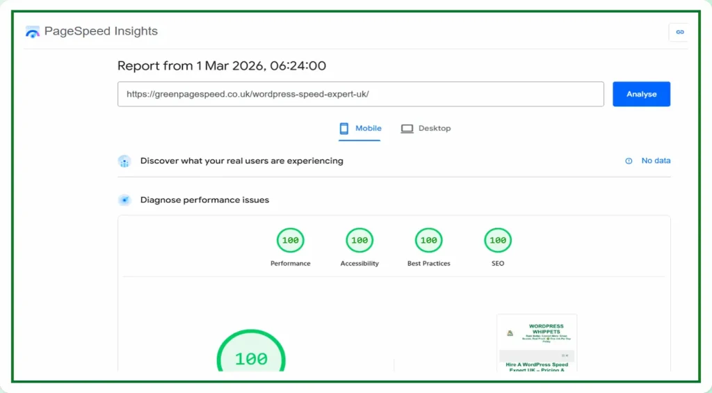 01/03/26 greenpagespeed wordpress speed expert uk mobile pagespeed insights 100 performance accessibility best practices seo
