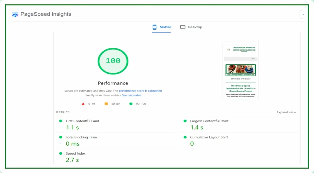 20/03/26 Google PageSpeed Insights mobile test showing 100 performance score for Green PageSpeed website, with 1.1s first contentful paint, 1.4s largest contentful paint, 0ms total blocking time, 2.7s speed index and 0 cumulative layout shift, confirming fast loading, stable layout and fully optimised Core Web Vitals on mobile.