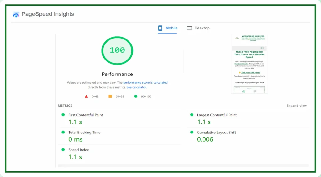 25/03/26 PageSpeed Insights mobile performance score of 100 showing fast load metrics including First Contentful Paint at 1.1 seconds, Largest Contentful Paint at 1.1 seconds, Total Blocking Time at 0 ms, Speed Index at 1.1 seconds, and Cumulative Layout Shift at 0.006, demonstrating excellent Core Web Vitals performance