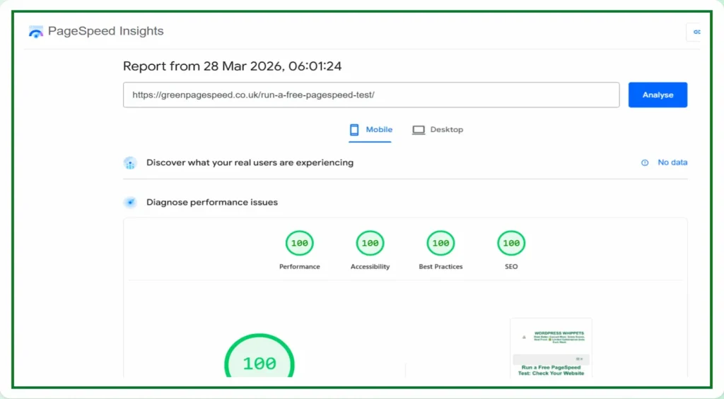 28/03/26 PageSpeed Insights report showing 100/100 scores across performance, accessibility, best practices and SEO for Green PageSpeed free test page with mobile analysis view