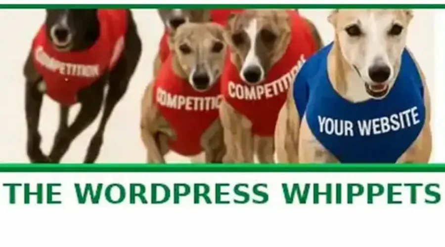 5 Whippet dogs racing. The lead dog wears a vest that says "Your Website". The four dogs chasing behind are all weearing vests that say "Competition".
