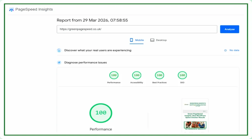 29/03/26 Green PageSpeed PageSpeed Insights mobile report showing 100 performance score with all four metrics at 100 including accessibility best practices and SEO for greenpagespeed.co.uk homepage